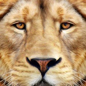 Meet your Posher, Steve